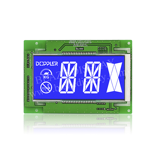 Module d'affichage LCD segmenté